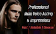 do a professional voice over or an impression