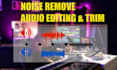 do professional audio editing  with effects and noise reduction