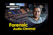 do forensic audio cleanup and enhancement in 4 hrs
