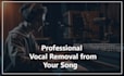 remove vocal from your song