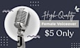 do professional urdu voice over for your videos