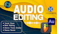 restore your audio with noise removal and editing