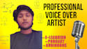 do professional hindi voiceover for e learning videos