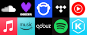 distribute your music all platforms