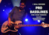 be your pro sound bass player for your song
