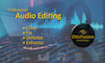 remove background noise and improve audio clarity
