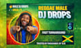 produce reggae dj drops with effects