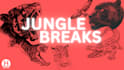 create high energy jungle music and drum and bass