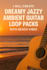 create dreamy jazzy ambient guitar loop packs with beach vibes