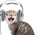 voice anything that you want me to voice