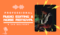 professionally edit, clean, and enhance your audio
