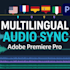 do sync audio narrations in multiple languajes for your videos
