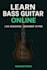 teach you bass guitar online with personalized lessons