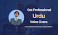 do high quality professional urdu voice over