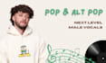 be your male pop singer and alternative pop singer