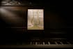 teach piano lessons from beginners to professionals level