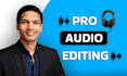 remove noise, repair and edit your audio within 24 hours