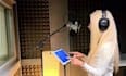 record your bilingual audio book in english and spanish