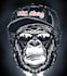 provide expert mixing and mastering consultation for artists
