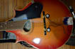 play mandolin on your song