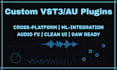 develop a custom vst3 or au plugin with gui and dsp features