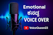 do kannada voice over
