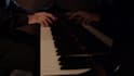 do a professional transcription for you