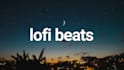 write and produce lofi beats for you