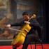 record a professional cello track for your music or film