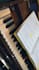teach you harmonium ,and vocal lesson