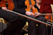 arrange or compose string music for duos, trios, or quartets