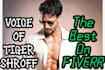 voice tiger shroff in your project