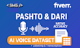 record pashto or dari speech dataset for ai model training