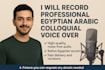 record professional egyptian arabic colloquial voice over
