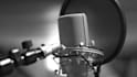 record a professional polish voice over for your project