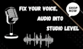 professional audio cleaning and voice cleanup  studio quality