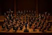 compose a professional orchestral score for your project