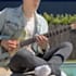 teach you bebop, neo soul and rock on guitar