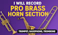 record pro brass horn section trumpet, saxophone, trombone, mandolin