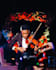 record hq violin or strings for you, personal violinist