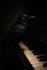 write for you song