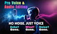 remove background noise, wind, echo from a video or audio file