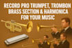 record pro trumpet, trombone or brass section and harmonica