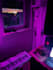 mix and master your rap, pop, trap or rnb record