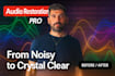 professionally restore and clean your audio