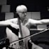 teach you cello online with personalised cello lessons