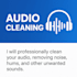 clean, fix, and enhance your audio professionally