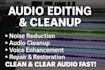 professionally remove noise, hiss, hum, and repair audio