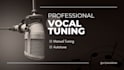 tune vocals professionally for you