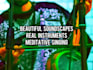 create meditation, yoga, ambient music, real instruments